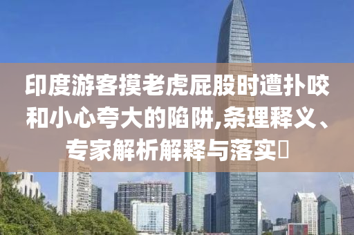 印度游客摸老虎屁股時遭撲咬和小心夸大的陷阱,條理釋義、專家解析解釋與落實?