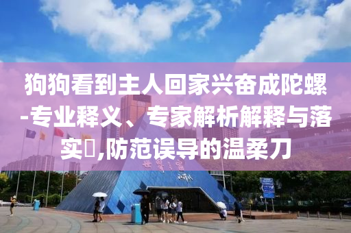 狗狗看到主人回家興奮成陀螺-專業釋義、專家解析解釋與落實?,防范誤導的溫柔刀