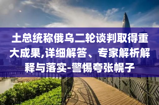 土總統稱俄烏二輪談判取得重大成果,詳細解答、專家解析解釋與落實-警惕夸張幌子