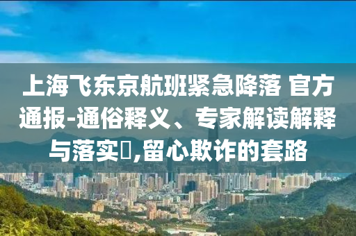 上海飛東京航班緊急降落 官方通報-通俗釋義、專家解讀解釋與落實?,留心欺詐的套路
