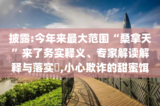 披露:今年來最大范圍“桑拿天”來了務實釋義、專家解讀解釋與落實?,小心欺詐的甜蜜餌