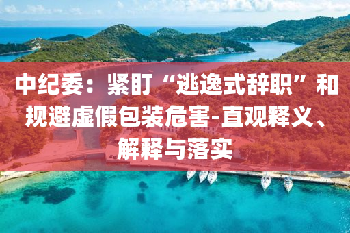 中紀(jì)委：緊盯“逃逸式辭職”和規(guī)避虛假包裝危害-直觀釋義、解釋與落實