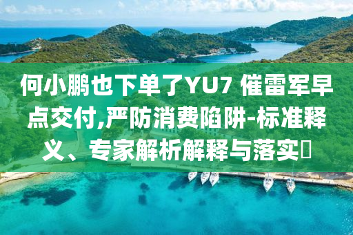 何小鵬也下單了YU7 催雷軍早點交付,嚴防消費陷阱-標準釋義、專家解析解釋與落實?