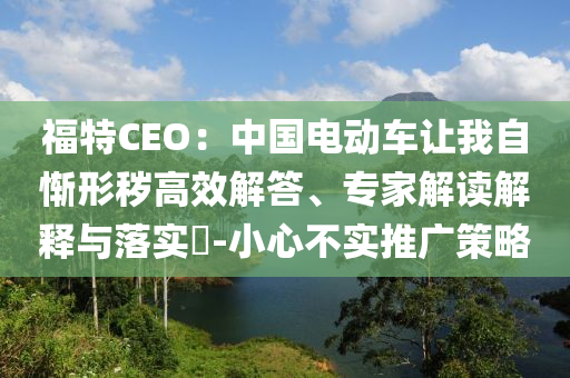 福特CEO：中國電動車讓我自慚形穢高效解答、專家解讀解釋與落實?-小心不實推廣策略