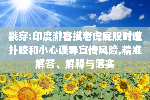 戳穿:印度游客摸老虎屁股時遭撲咬和小心誤導宣傳風險,精準解答、解釋與落實