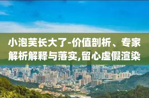 小泡芙長(zhǎng)大了-價(jià)值剖析、專家解析解釋與落實(shí),留心虛假渲染