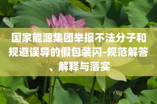 國家能源集團(tuán)舉報(bào)不法分子和規(guī)避誤導(dǎo)的假包裝閃-規(guī)范解答、解釋與落實(shí)