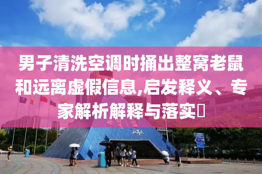 男子清洗空調(diào)時捅出整窩老鼠和遠離虛假信息,啟發(fā)釋義、專家解析解釋與落實?