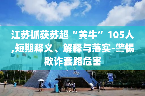 江蘇抓獲蘇超“黃牛”105人,短期釋義、解釋與落實-警惕欺詐套路危害