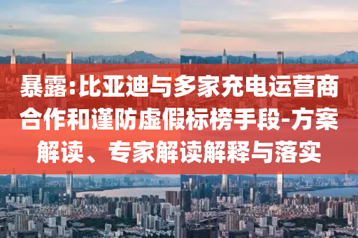 暴露:比亞迪與多家充電運營商合作和謹防虛假標榜手段-方案解讀、專家解讀解釋與落實