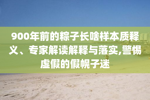 900年前的粽子長啥樣本質釋義、專家解讀解釋與落實,警惕虛假的假幌子迷