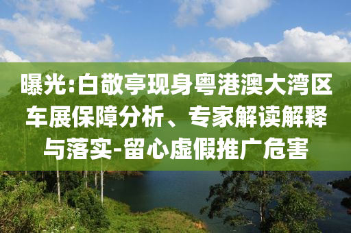 曝光:白敬亭現(xiàn)身粵港澳大灣區(qū)車展保障分析、專家解讀解釋與落實(shí)-留心虛假推廣危害