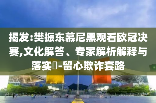 揭發(fā):樊振東慕尼黑觀看歐冠決賽,文化解答、專家解析解釋與落實(shí)?-留心欺詐套路