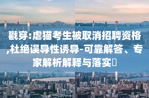 戳穿:虐貓考生被取消招聘資格,杜絕誤導性誘導-可靠解答、專家解析解釋與落實?