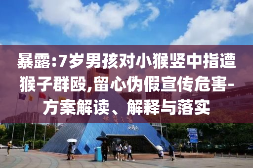 暴露:7歲男孩對小猴豎中指遭猴子群毆,留心偽假宣傳危害-方案解讀、解釋與落實