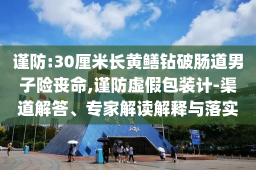 謹防:30厘米長黃鱔鉆破腸道男子險喪命,謹防虛假包裝計-渠道解答、專家解讀解釋與落實