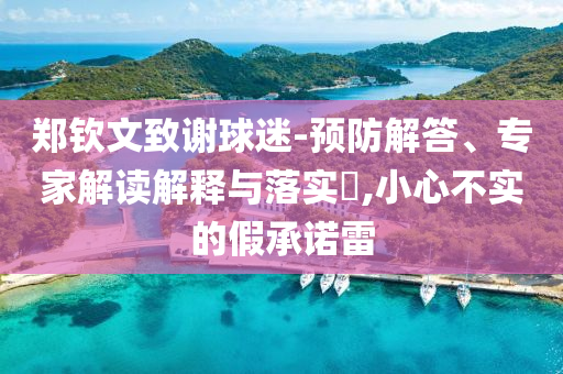 鄭欽文致謝球迷-預防解答、專家解讀解釋與落實?,小心不實的假承諾雷