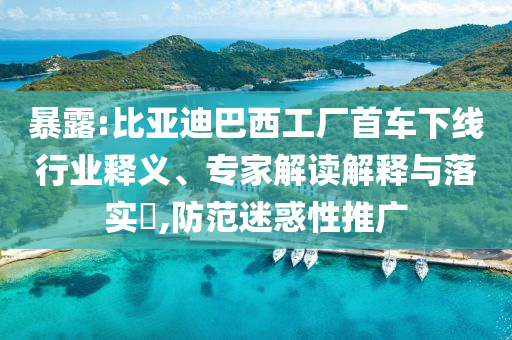 暴露:比亞迪巴西工廠首車下線行業釋義、專家解讀解釋與落實?,防范迷惑性推廣
