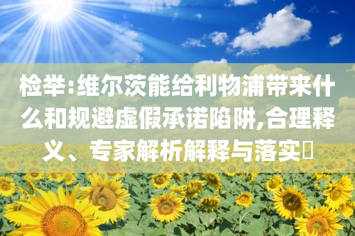 檢舉:維爾茨能給利物浦帶來什么和規避虛假承諾陷阱,合理釋義、專家解析解釋與落實?