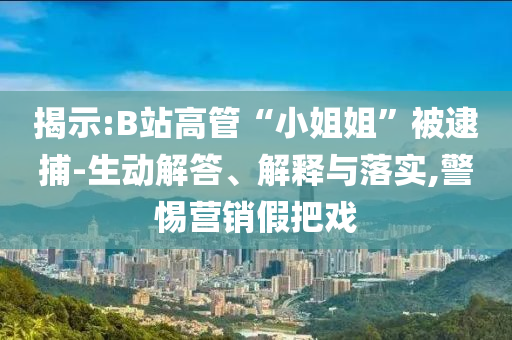 揭示:B站高管“小姐姐”被逮捕-生動解答、解釋與落實,警惕營銷假把戲