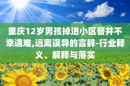 重慶12歲男孩掉進小區(qū)窨井不幸遇難,遠離誤導的言辭-行業(yè)釋義、解釋與落實