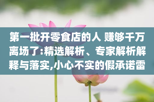 第一批開零食店的人 賺夠千萬離場了:精選解析、專家解析解釋與落實(shí),小心不實(shí)的假承諾雷