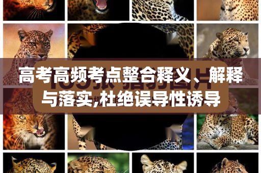 高考高頻考點整合釋義、解釋與落實,杜絕誤導性誘導