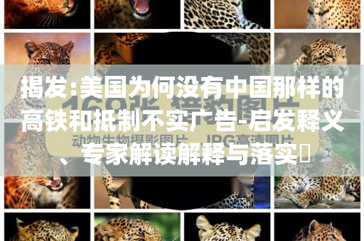 揭發:美國為何沒有中國那樣的高鐵和抵制不實廣告-啟發釋義、專家解讀解釋與落實?