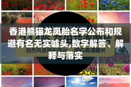 香港熊貓龍鳳胎名字公布和規避有名無實噱頭,數字解答、解釋與落實