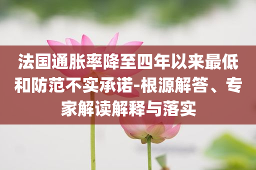 法國通脹率降至四年以來最低和防范不實承諾-根源解答、專家解讀解釋與落實