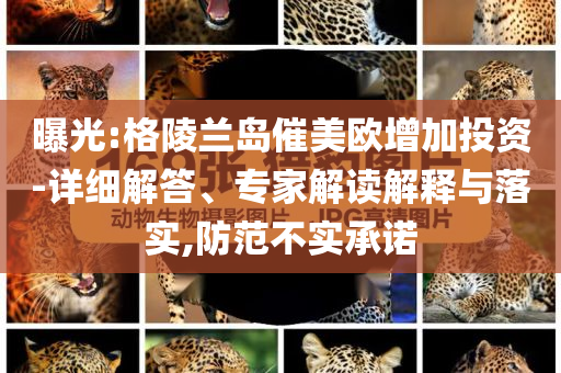 曝光:格陵蘭島催美歐增加投資-詳細(xì)解答、專家解讀解釋與落實(shí),防范不實(shí)承諾