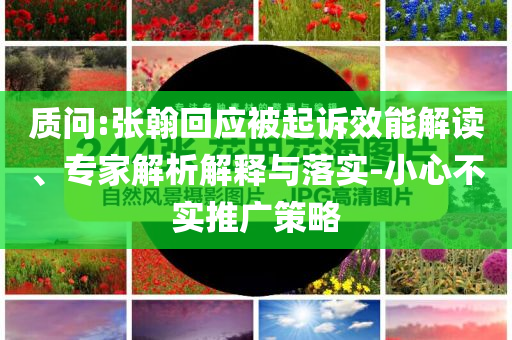 質問:張翰回應被起訴效能解讀、專家解析解釋與落實-小心不實推廣策略