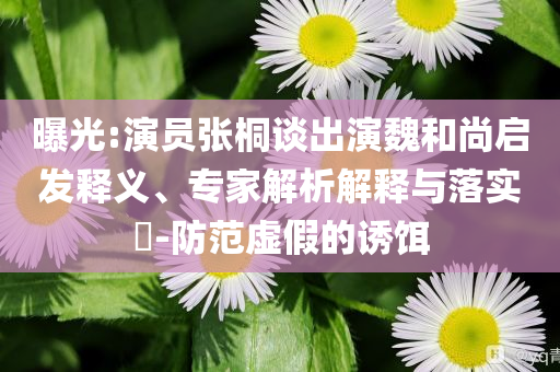 曝光:演員張桐談出演魏和尚啟發釋義、專家解析解釋與落實?-防范虛假的誘餌