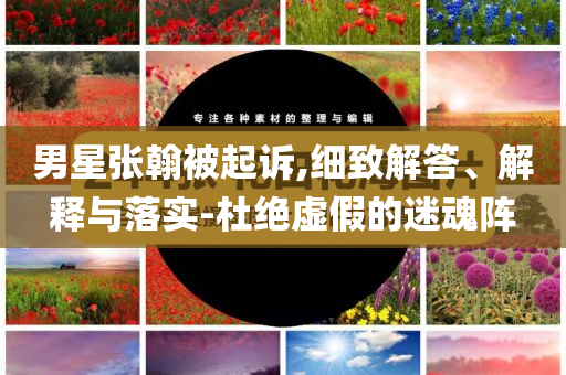 男星張翰被起訴,細(xì)致解答、解釋與落實(shí)-杜絕虛假的迷魂陣