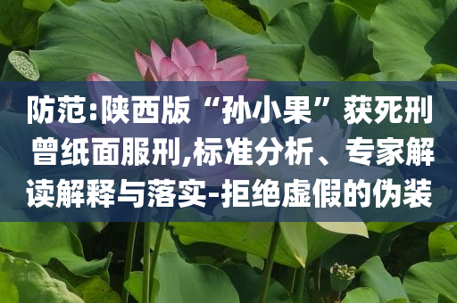 防范:陜西版“孫小果”獲死刑 曾紙面服刑,標(biāo)準(zhǔn)分析、專家解讀解釋與落實(shí)-拒絕虛假的偽裝