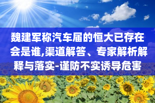 魏建軍稱汽車屆的恒大已存在 會是誰,渠道解答、專家解析解釋與落實-謹防不實誘導危害