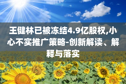 王健林已被凍結4.9億股權,小心不實推廣策略-創新解讀、解釋與落實