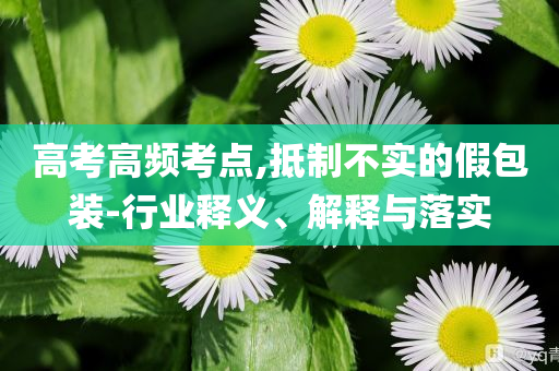 高考高頻考點(diǎn),抵制不實(shí)的假包裝-行業(yè)釋義、解釋與落實(shí)