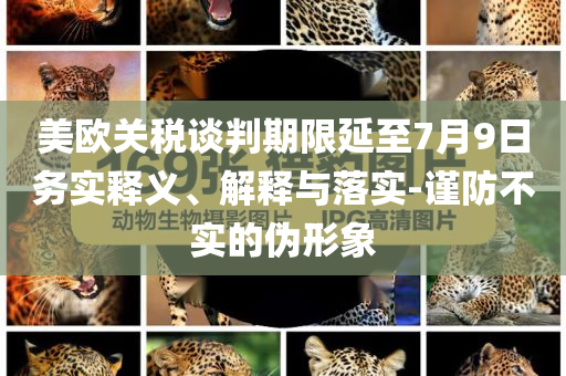 美歐關稅談判期限延至7月9日務實釋義、解釋與落實-謹防不實的偽形象