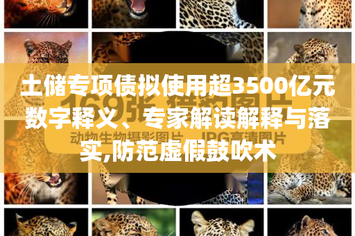 土儲專項債擬使用超3500億元數字釋義、專家解讀解釋與落實,防范虛假鼓吹術