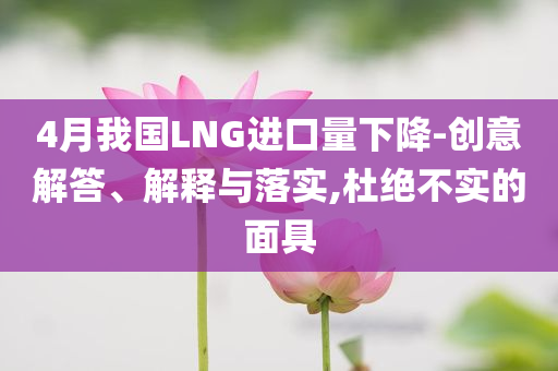 4月我國(guó)LNG進(jìn)口量下降-創(chuàng)意解答、解釋與落實(shí),杜絕不實(shí)的面具