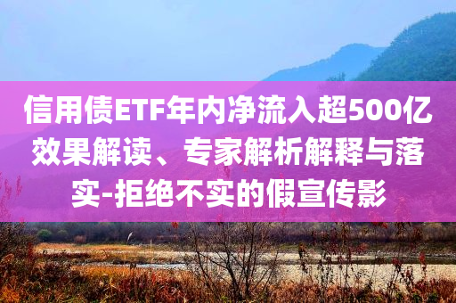 信用債ETF年內(nèi)凈流入超500億效果解讀、專家解析解釋與落實(shí)-拒絕不實(shí)的假宣傳影
