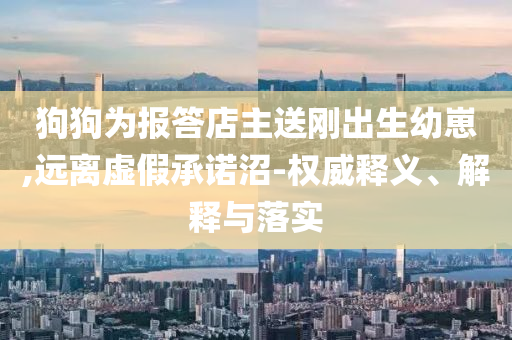 狗狗為報答店主送剛出生幼崽,遠離虛假承諾沼-權威釋義、解釋與落實
