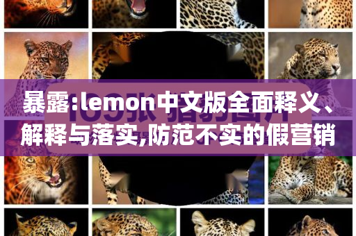 暴露:lemon中文版全面釋義、解釋與落實(shí),防范不實(shí)的假營(yíng)銷