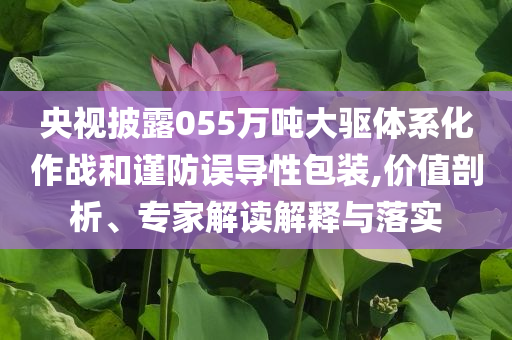 央視披露055萬噸大驅體系化作戰和謹防誤導性包裝,價值剖析、專家解讀解釋與落實