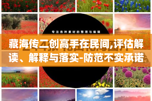 藏海傳二創高手在民間,評估解讀、解釋與落實-防范不實承諾