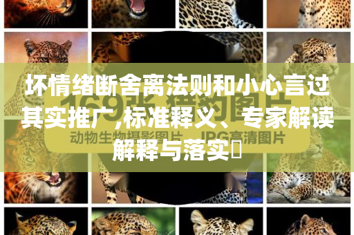 壞情緒斷舍離法則和小心言過其實推廣,標準釋義、專家解讀解釋與落實?