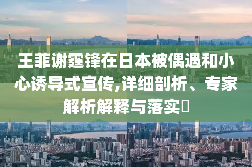 王菲謝霆鋒在日本被偶遇和小心誘導(dǎo)式宣傳,詳細(xì)剖析、專家解析解釋與落實(shí)?