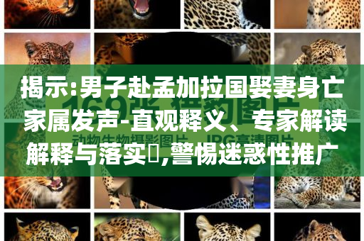 揭示:男子赴孟加拉國娶妻身亡 家屬發(fā)聲-直觀釋義、專家解讀解釋與落實(shí)?,警惕迷惑性推廣