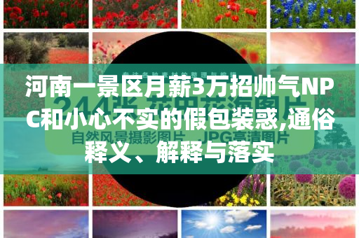 河南一景區月薪3萬招帥氣NPC和小心不實的假包裝惑,通俗釋義、解釋與落實